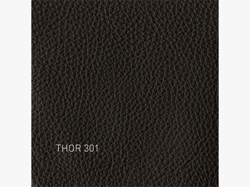 Thor Læder Sort 301
